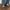 Casual Versatile Lace-up Niche Couple Forrest Gump Shoes