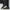 Casual Versatile Lace-up Niche Couple Forrest Gump Shoes