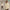 ARTIE Fake Two-piece Bottoming Shirt Casual Long-sleeved