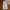 Old Qianfeng Linen Blend Drape Texture Anti-wrinkle Versatile Casual Pants