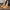 Height Increasing Derby Shoes Couple Big Head Leather Shoes